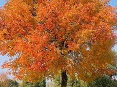 -南京市江宁方山