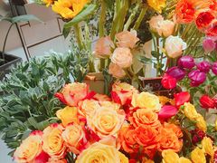 -植物学家的女儿(北马道巷店)