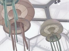 -水立方嬉水乐园