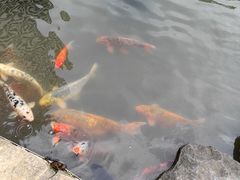 -广州花园酒店