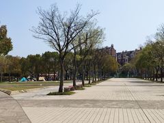 -新江湾城公园