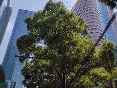 -湖南省妇幼保健院(兴汉门院区)