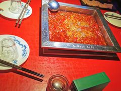 -二荆条·蜀鲜汇城市森林火锅