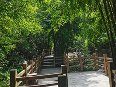 -南海湾森林生态园
