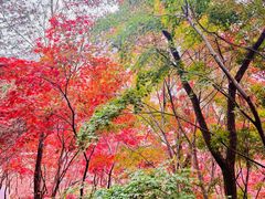 -崂山巨峰游览区