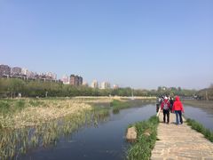 -前关湿地公园