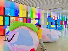 -上海浦东国际机场-T2航站楼