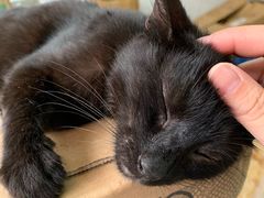 -江杨农产品批发市场