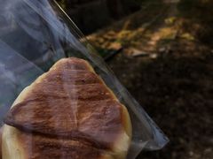 海盐黄油卷-风车面包