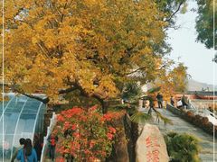 -红螺寺