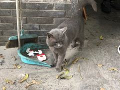 -安庆柴火馄饨(马道街店)