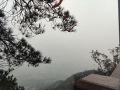 -缙云山景区