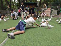 -成都欢乐谷