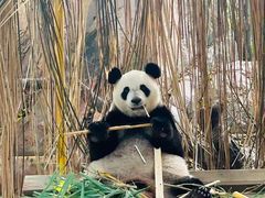 -广州长隆欢乐世界