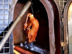 -羲和雅苑•北京烤鸭(平安国际金融中心店)