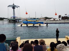 -秦皇岛乐岛海洋王国