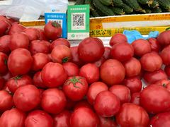 -西北农副产品中心批发市场(广安路店)