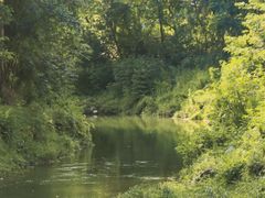 -白鹭湾湿地公园