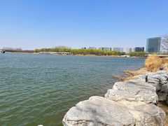 -大兴滨河森林公园