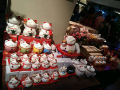 -猫咪博物馆(顶澳仔猫街店)