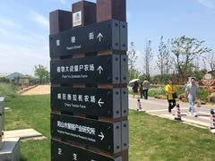 -田园东方蜜桃村的田野营地