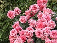 -下沉广场(羊坊店街道)