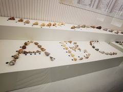 -青岛贝壳博物馆