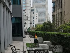 -新荣记(南京西路店)