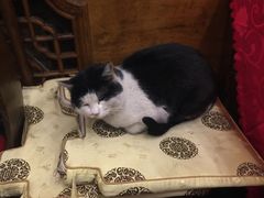 -郭家大院(新源店)