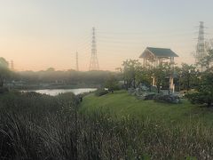 -王借岗森林公园