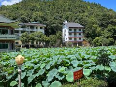 -地心探险极地