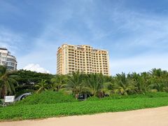 -墨脱石锅椰子鸡•香草鸭•东山羊(大东海店)