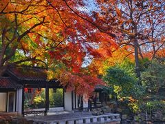 -惠山古镇·寄畅园