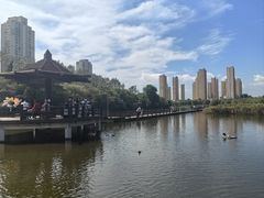 -前关湿地公园