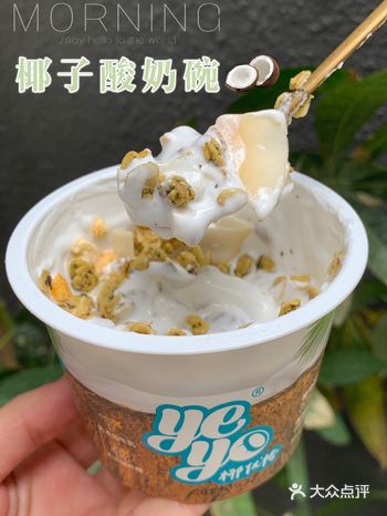 快手早餐碗椰子酸奶新发现get
