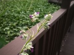 -苏州河梦清园环保主题公园