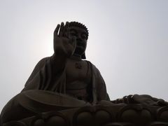 -龙口南山旅游景区