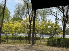 -若水云栖·足疗·按摩·SPA(城阳万达广场店)
