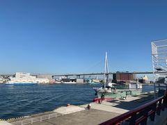 -大阪海游馆