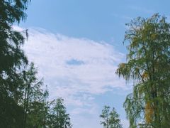 -青山湖景区