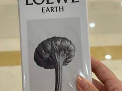 -LOEWE罗意威(万象城店)