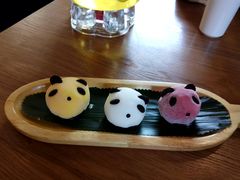 天府三色熊猫-天府掌柜(九眼桥店)