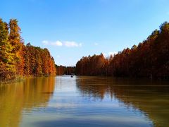 -上海海湾国家森林公园