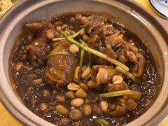 农家焖花生猪脚-菜鸟餐厅(珠江医院店)