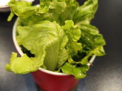 -红东阁东北菜烤肉酒馆(CROSS万象汇店)