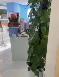 -普睿媞产后直营连锁(天鹅湖万达店)