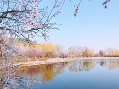 -国家植物园