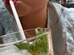 -Fern Forest Cafe