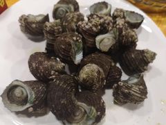 -食海部落
