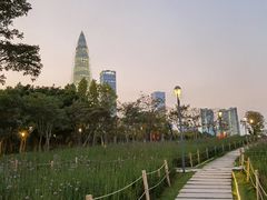 -深圳湾公园(南山区)